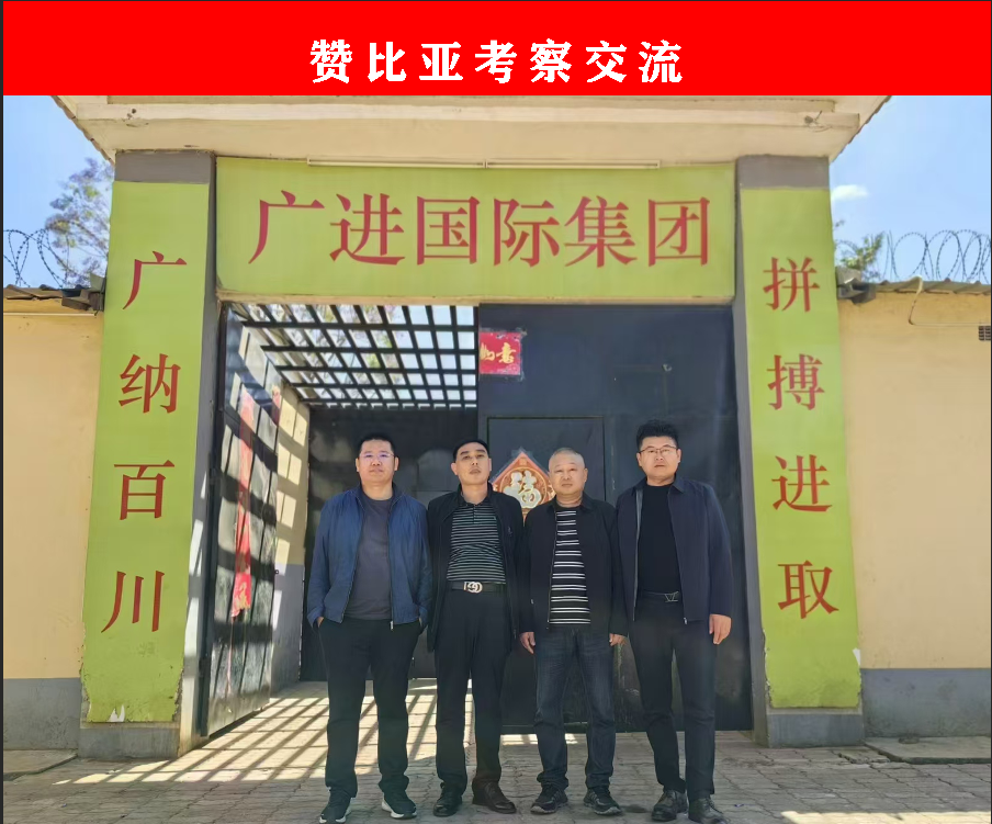 郑庵镇1.png